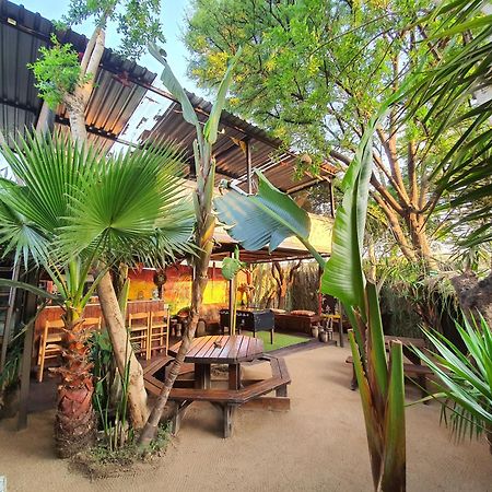 Lebo'S Soweto Backpackers 호스텔 외부 사진